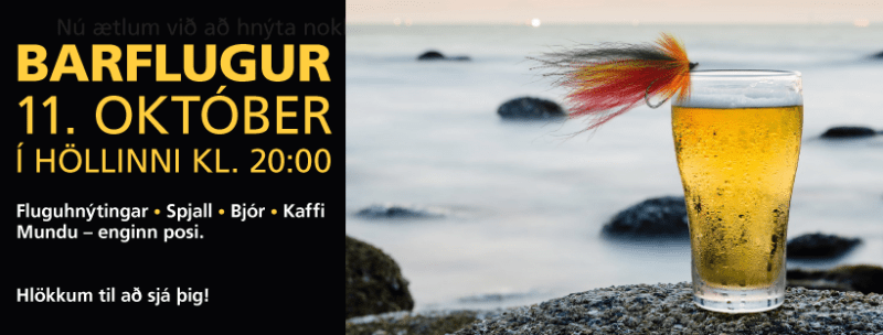Barflugur-2018