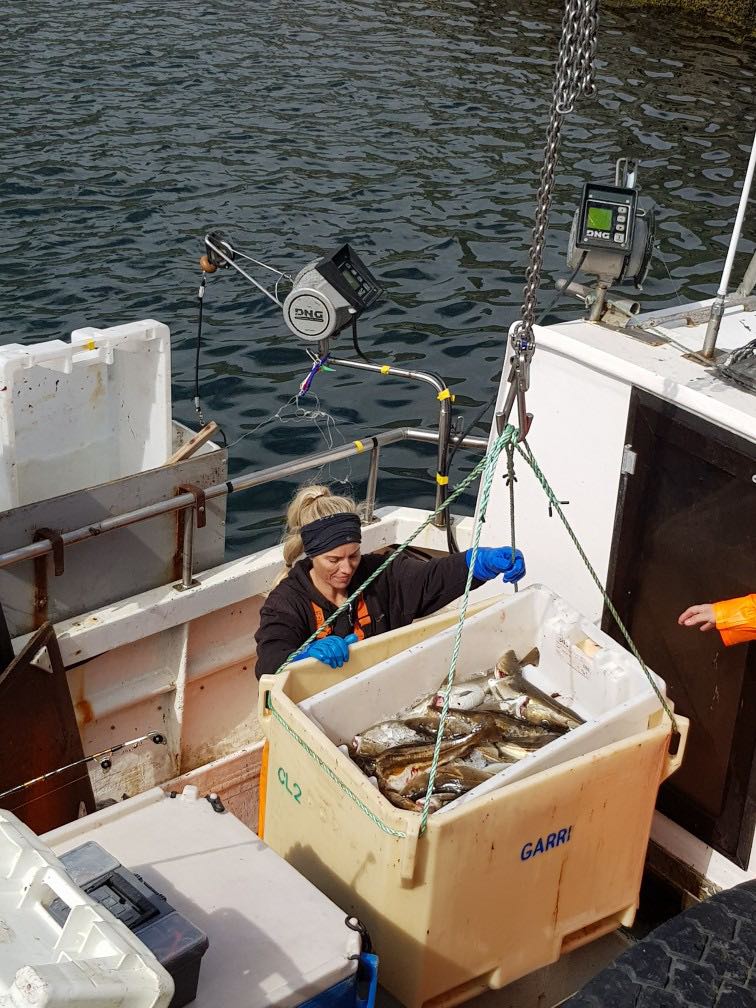 104478397_726226167921483_9114496065830427485_n