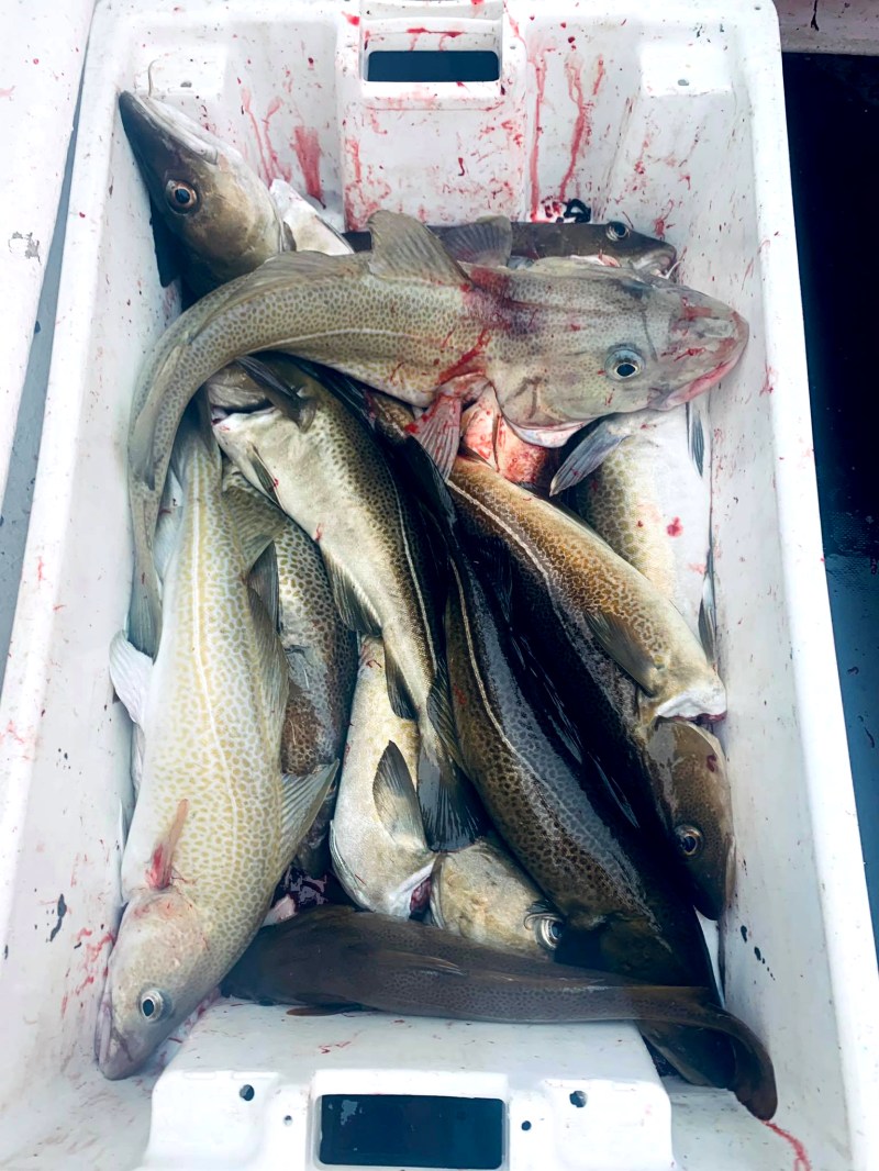 104678680_329787358033551_8782459441702065181_n